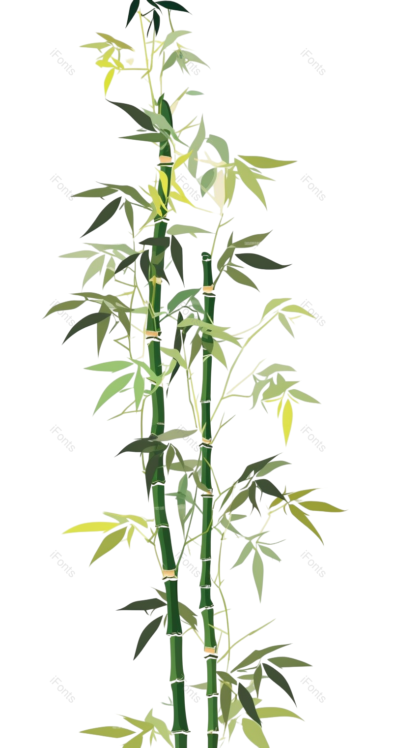 叶子图片,中国风元素,秋天PNG,夏天免抠素材